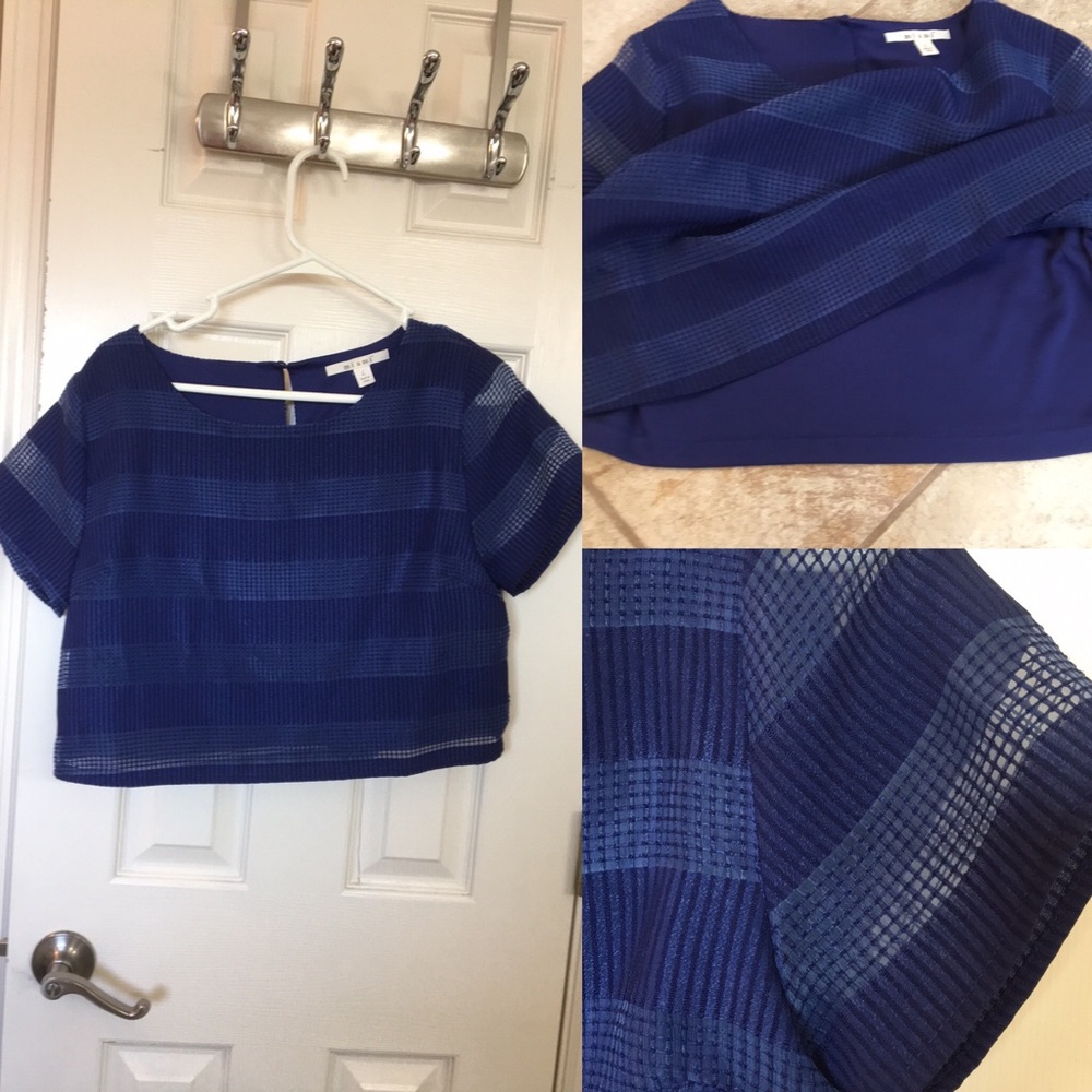 Francesca’s Miami crop blues lined sheer short sleeve